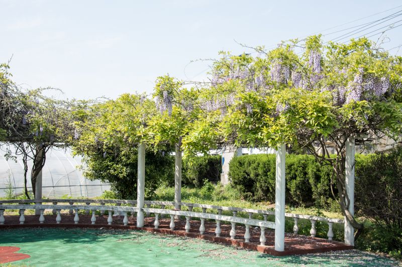 Contact About Vineyard Trellis Construction