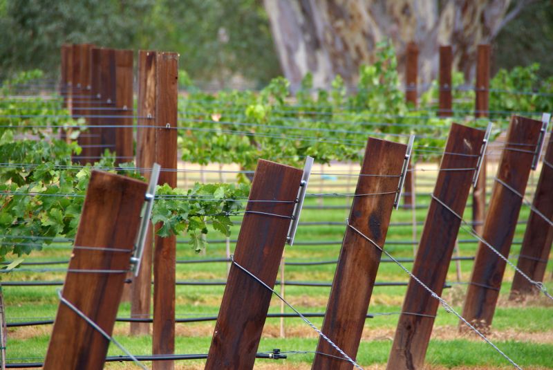 Vineyard Trellis Construction