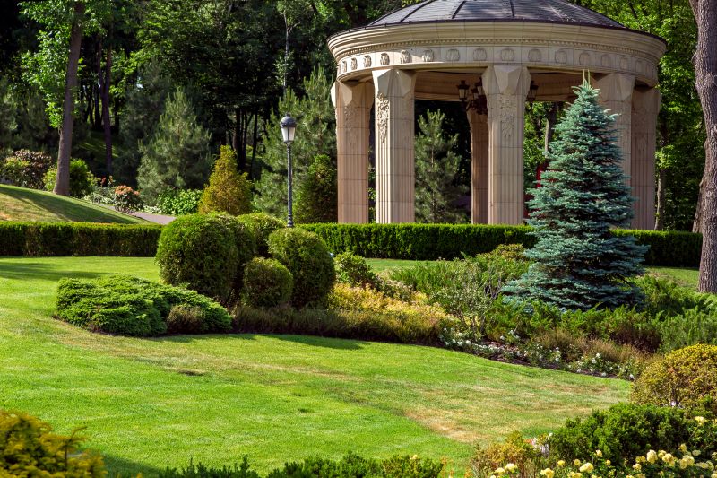 Arbor Replacement in Conroe, TX