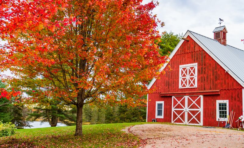 Barn Construction in Wilmington, NC