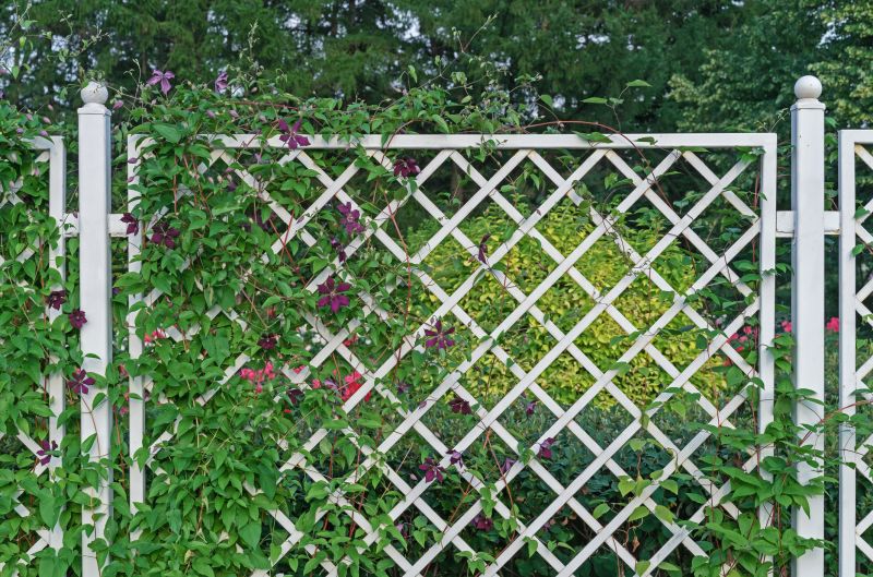 Grape Trellis Installation in Conroe, TX