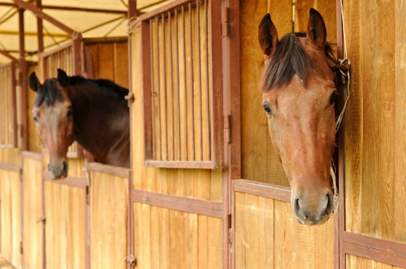 Horse Stall Repair in Wilmington, NC