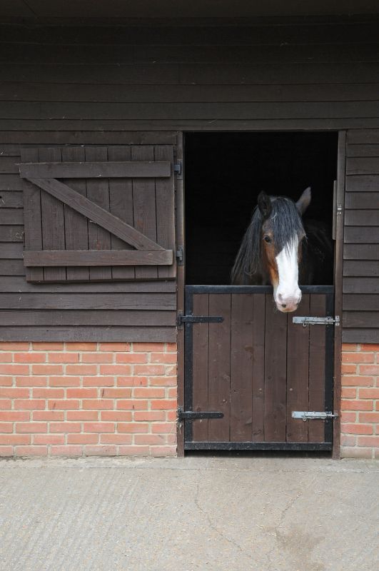 Horse Stall Repair in Alpharetta, GA