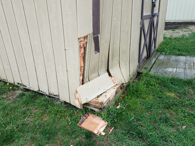 Shed Repair in Olathe, KS