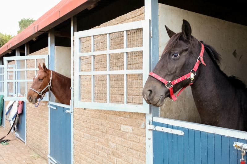 Stable Repair in Olathe, KS