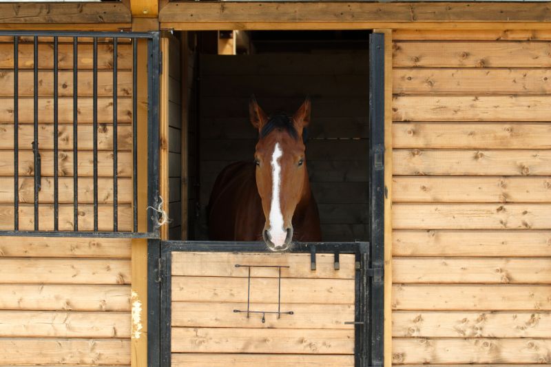 Stable Repair in Conroe, TX