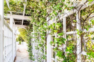 Trellis Construction in Kansas City, KS