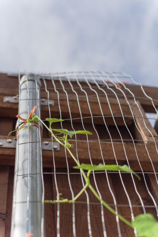 Trellis Fence Construction in Conroe, TX